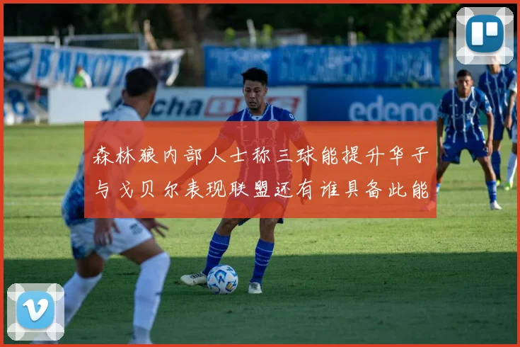 森林狼内部人士称三球能提升华子与戈贝尔表现联盟还有谁具备此能力