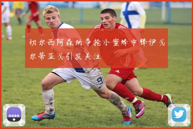 切尔西阿森纳争抢小蜜蜂中锋伊戈尔蒂亚戈引发关注